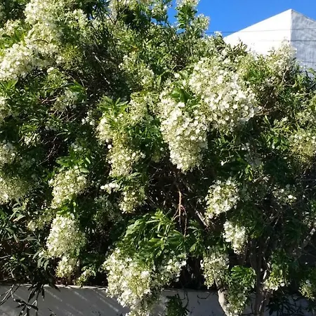 Tatil Evi Casa Montana De