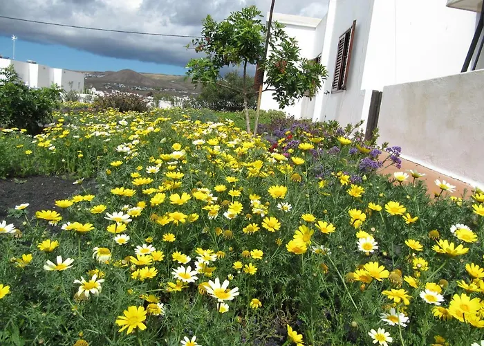 Casa Montana De * Tahiche