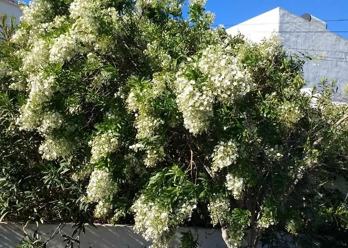 度假居 Casa Montana De