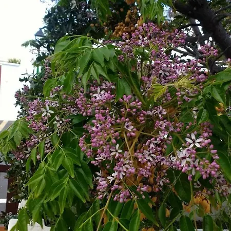 Dom wakacyjny Casa Montana De Tahiche