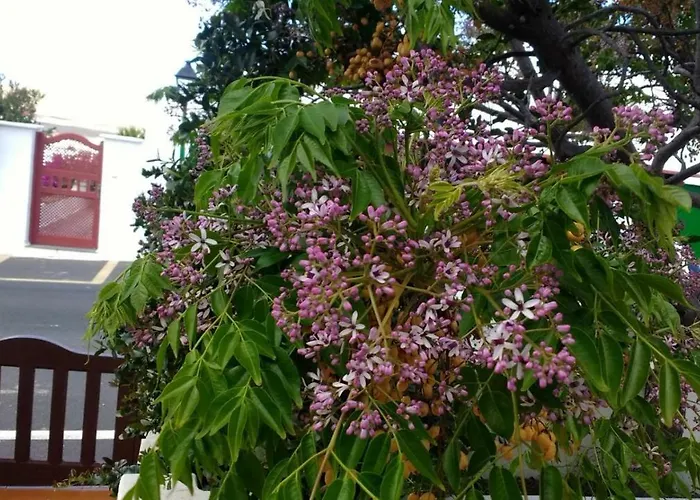 펜션 Casa Montana De Tahiche